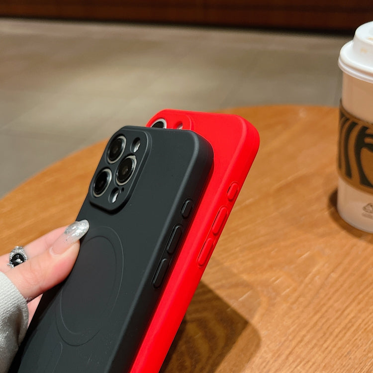 Solid Color Liquid Silicone MagSafe Magnetic Phone Case - For iPhone 11
