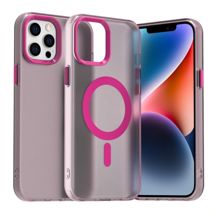 Candy MagSafe PC Hybrid TPU Phone Case - For iPhone 13 / 12 Pro / 12 Pro Max