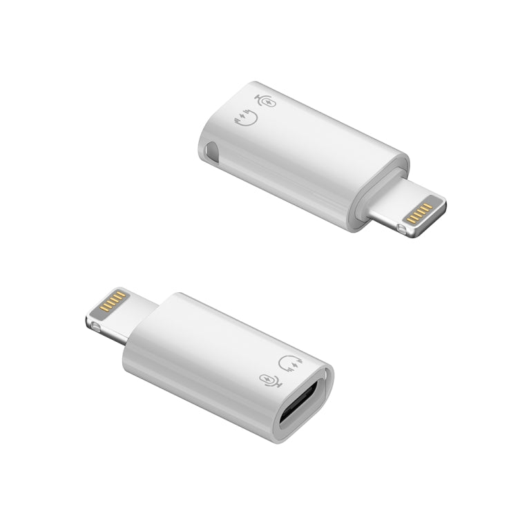 8 Pin to USB-C / Type-C OTG Adapter Converter - MosAccessories.co.uk