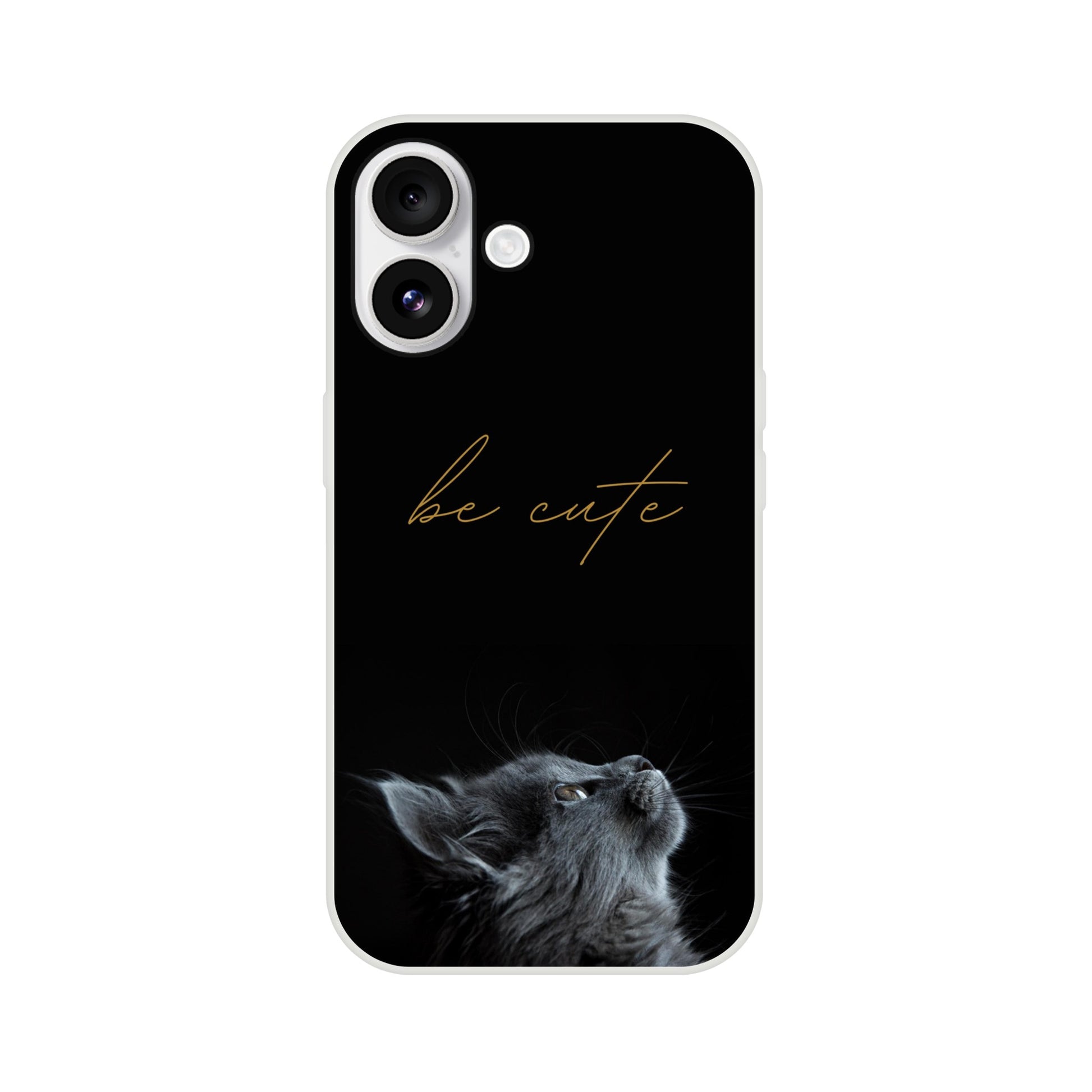 002e2f47-0213-46c1-8795-9bc6a6bb43a8