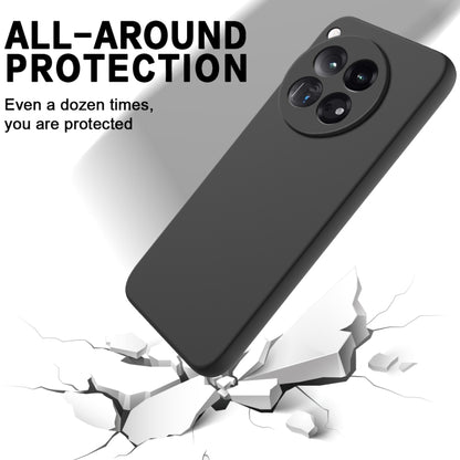 Pure Colour Liquid Silicone Shockproof Phone Case - For OnePlus 12R / 12 / Ace 3 / Nord 3 / Ace 2V / Nord CE 3 / Nord N300