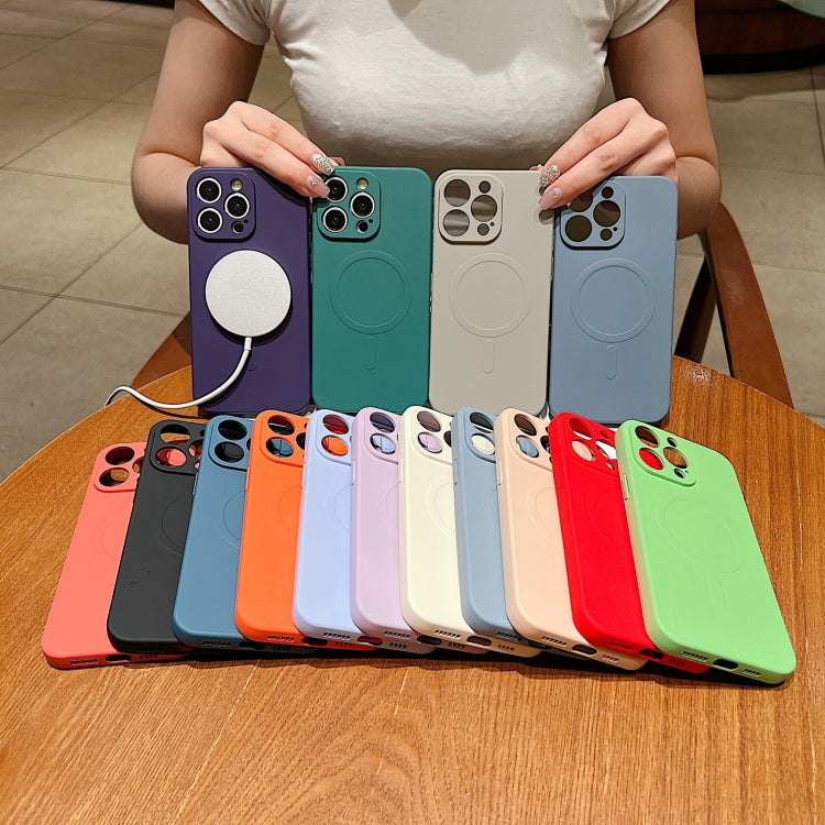 Solid Colour Liquid Silicone MagSafe Magnetic Phone Case - For iPhone 11